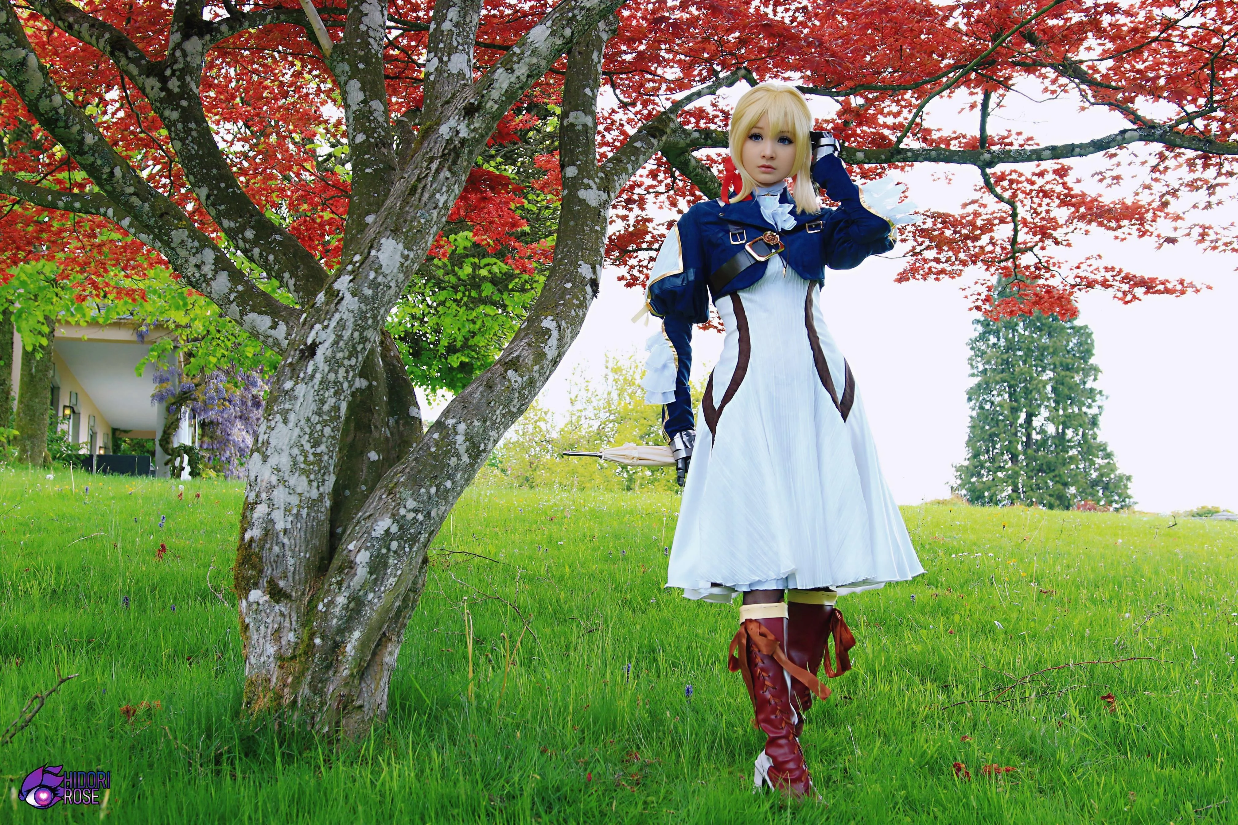 Violet Evergarden - Hidori Rose picture 5 of 5