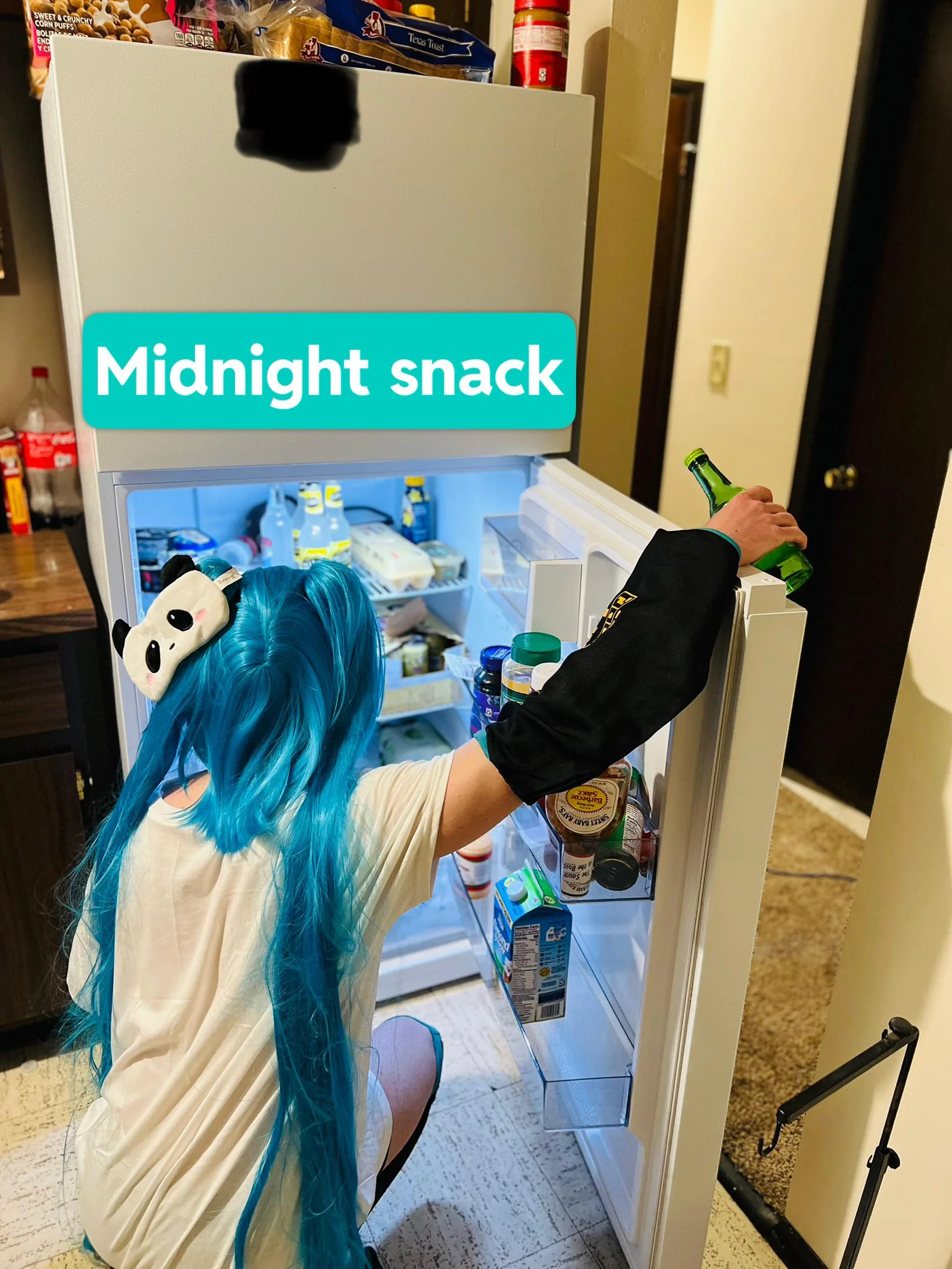 Miku got a little hungry before bed picture 1 of 1