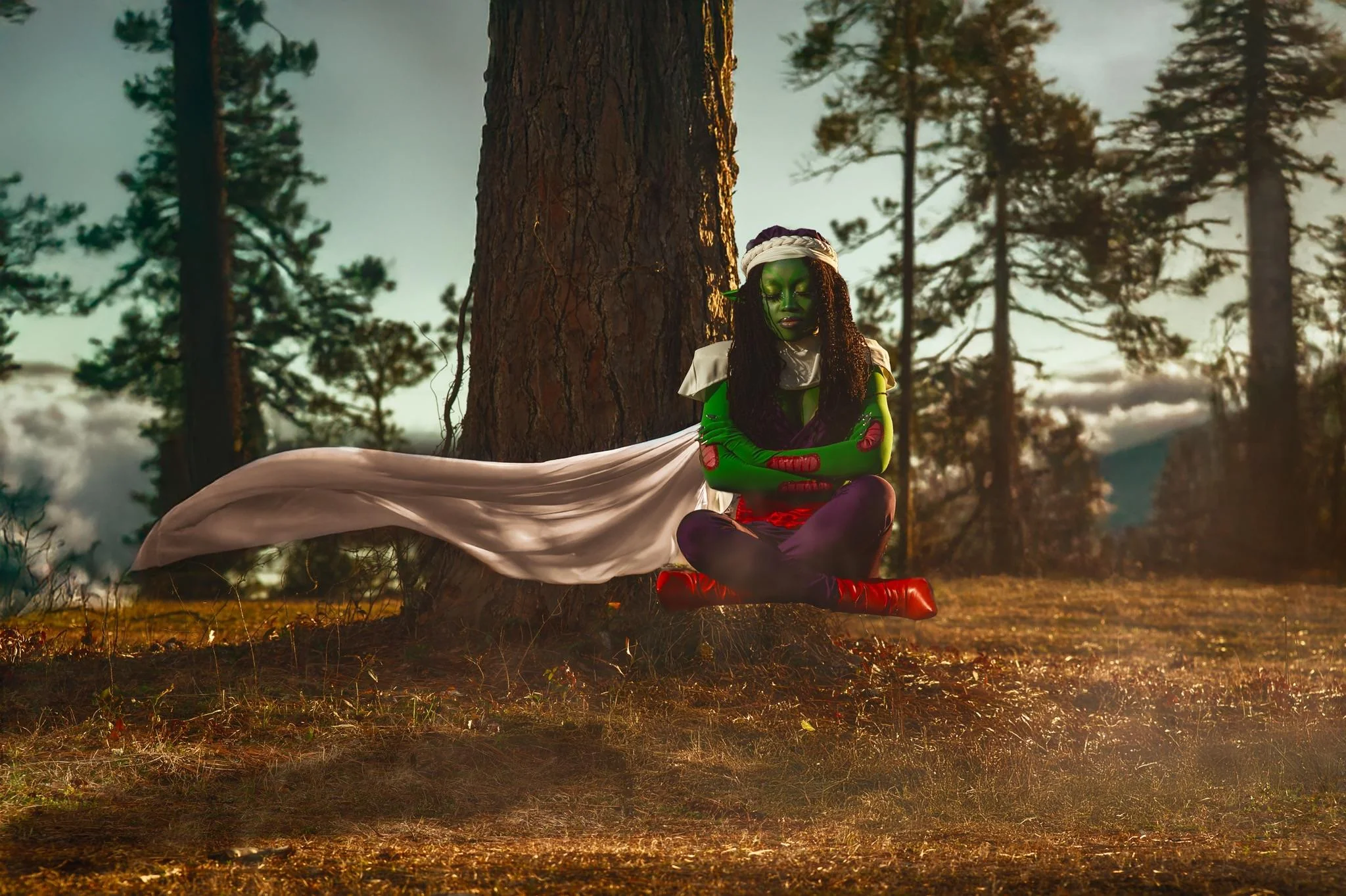 Piccolo by cheheaven picture 4 of 5