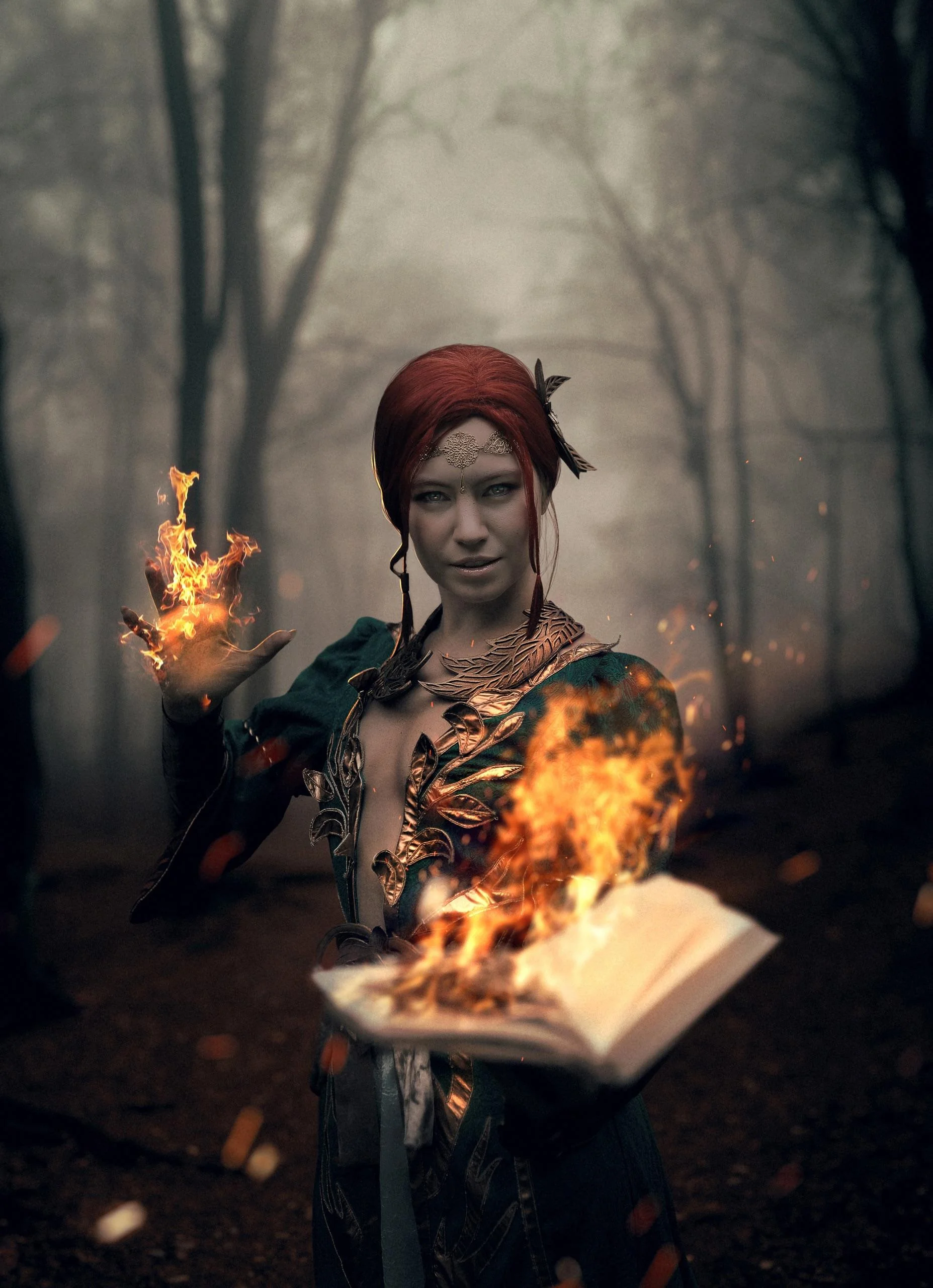 Triss Merigold(Lisyan _fox), Witcher picture 1 of 8