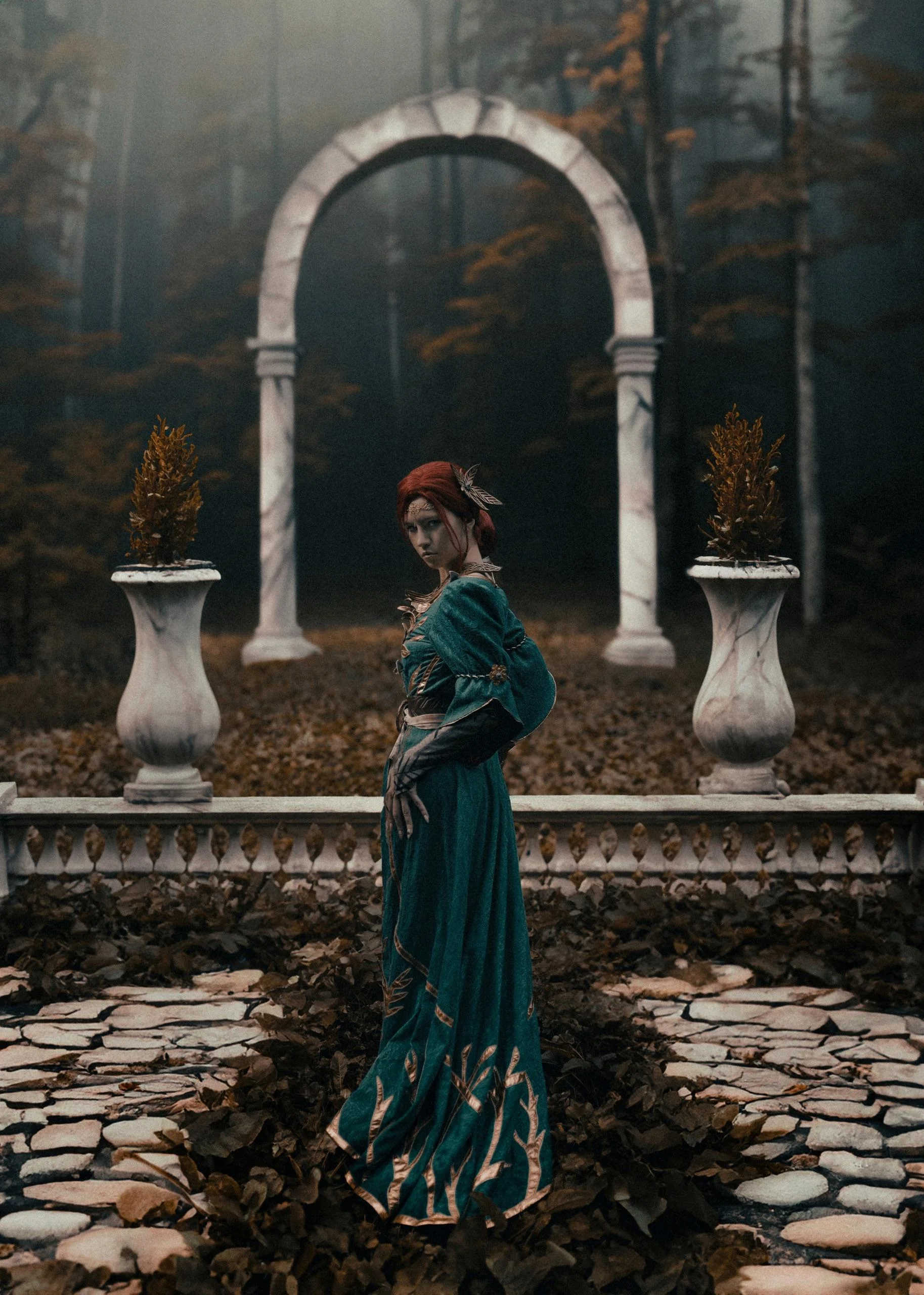 Triss Merigold(Lisyan _fox), Witcher picture 5 of 8