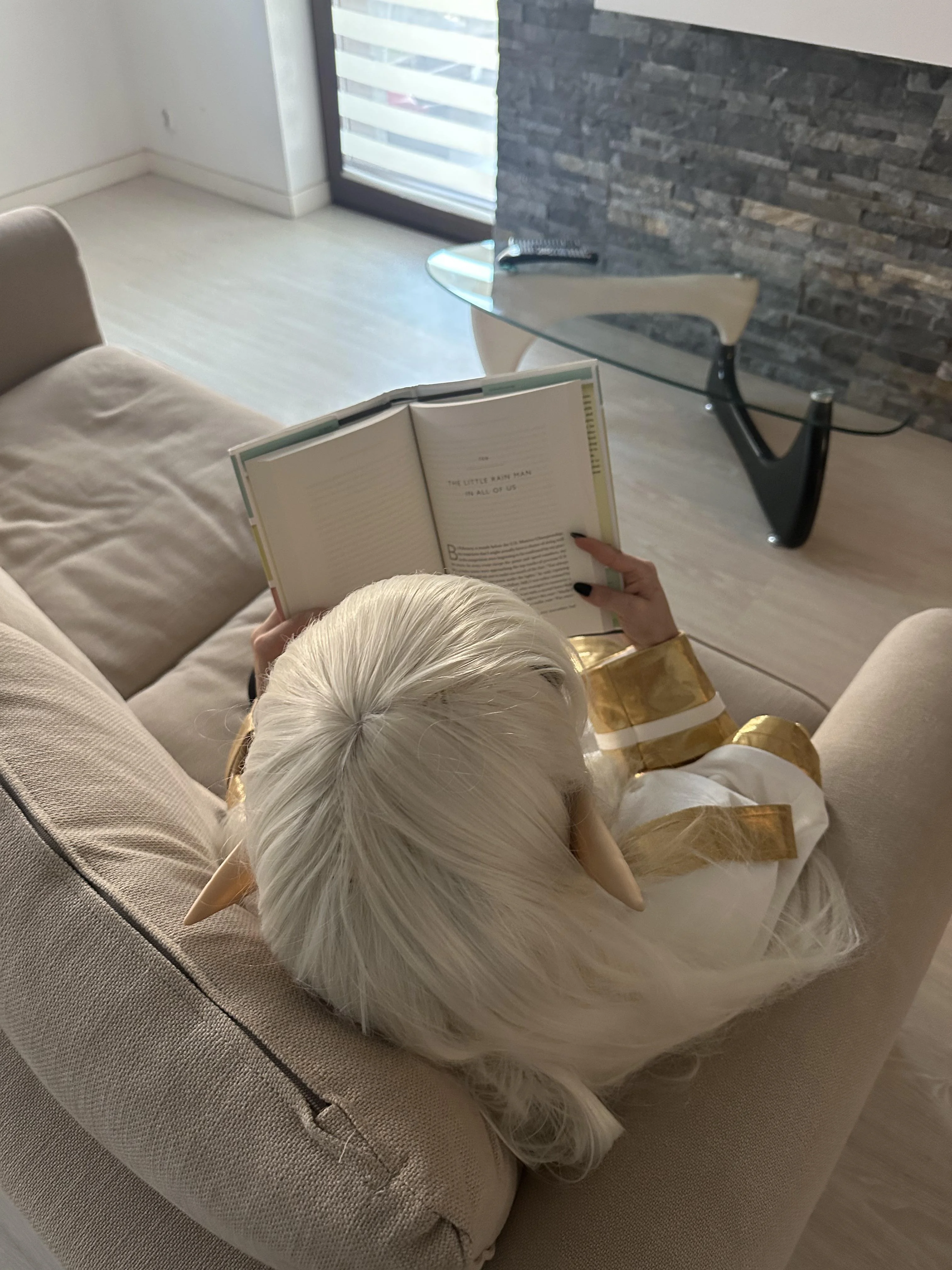 Frieren reading a book picture 1 of 1