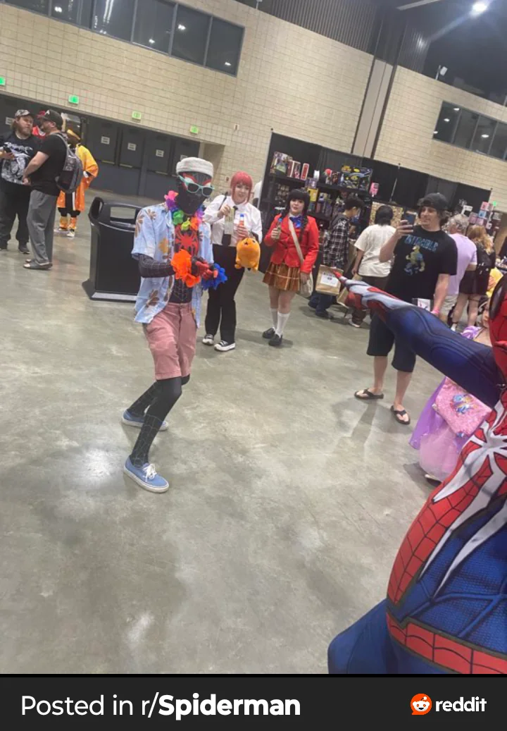 Ever time I (u/Jazzlike_Fortune_678) dressed up as Spider-Man at a con picture 12 of 15