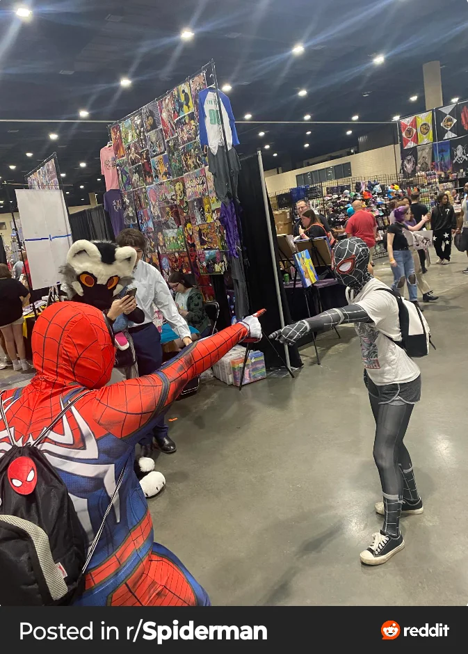 Ever time I (u/Jazzlike_Fortune_678) dressed up as Spider-Man at a con picture 14 of 15