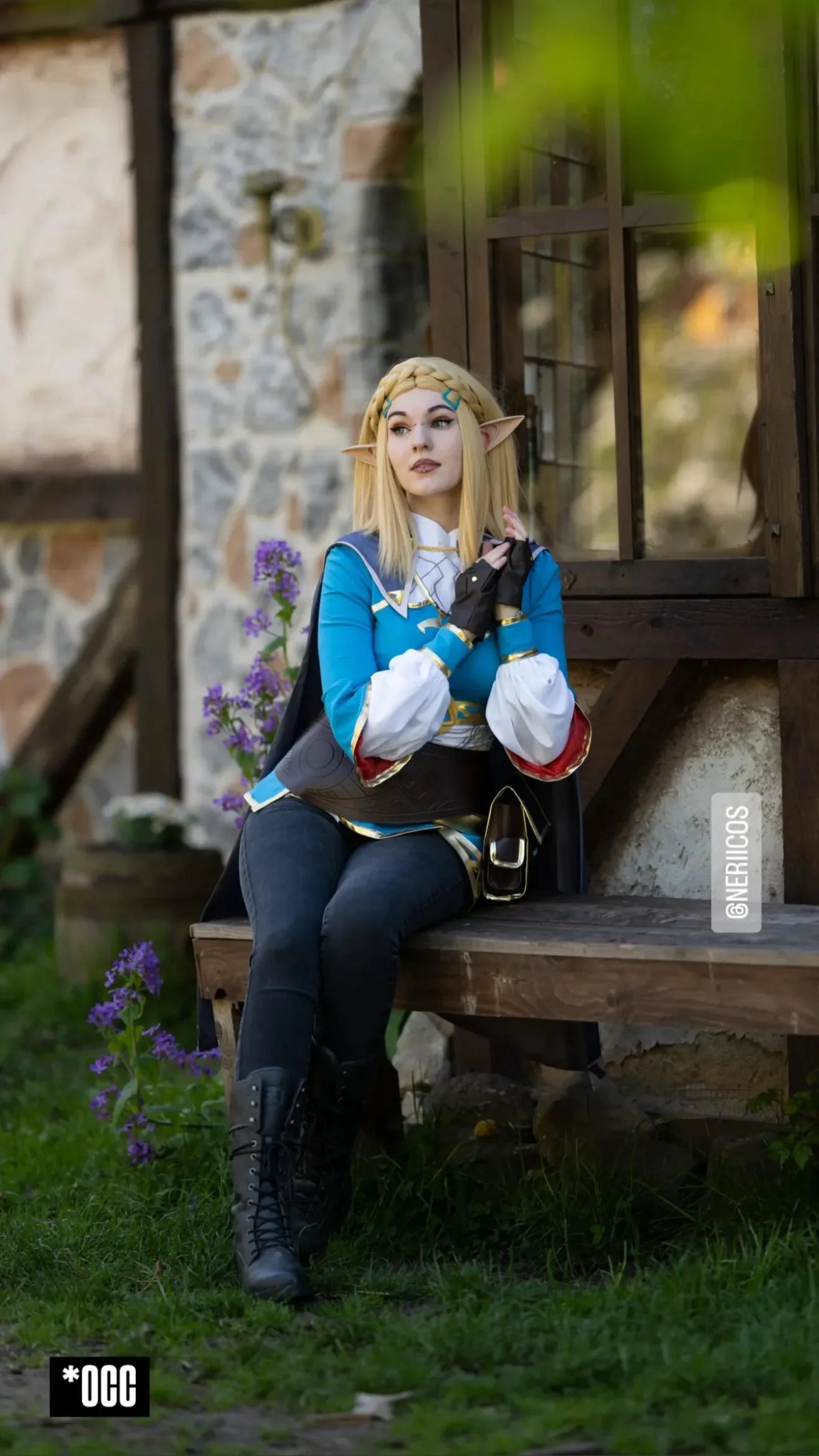 Zelda from Tears of the Kingdom picture 3 of 3