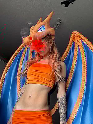 Charizard (svperdone)'