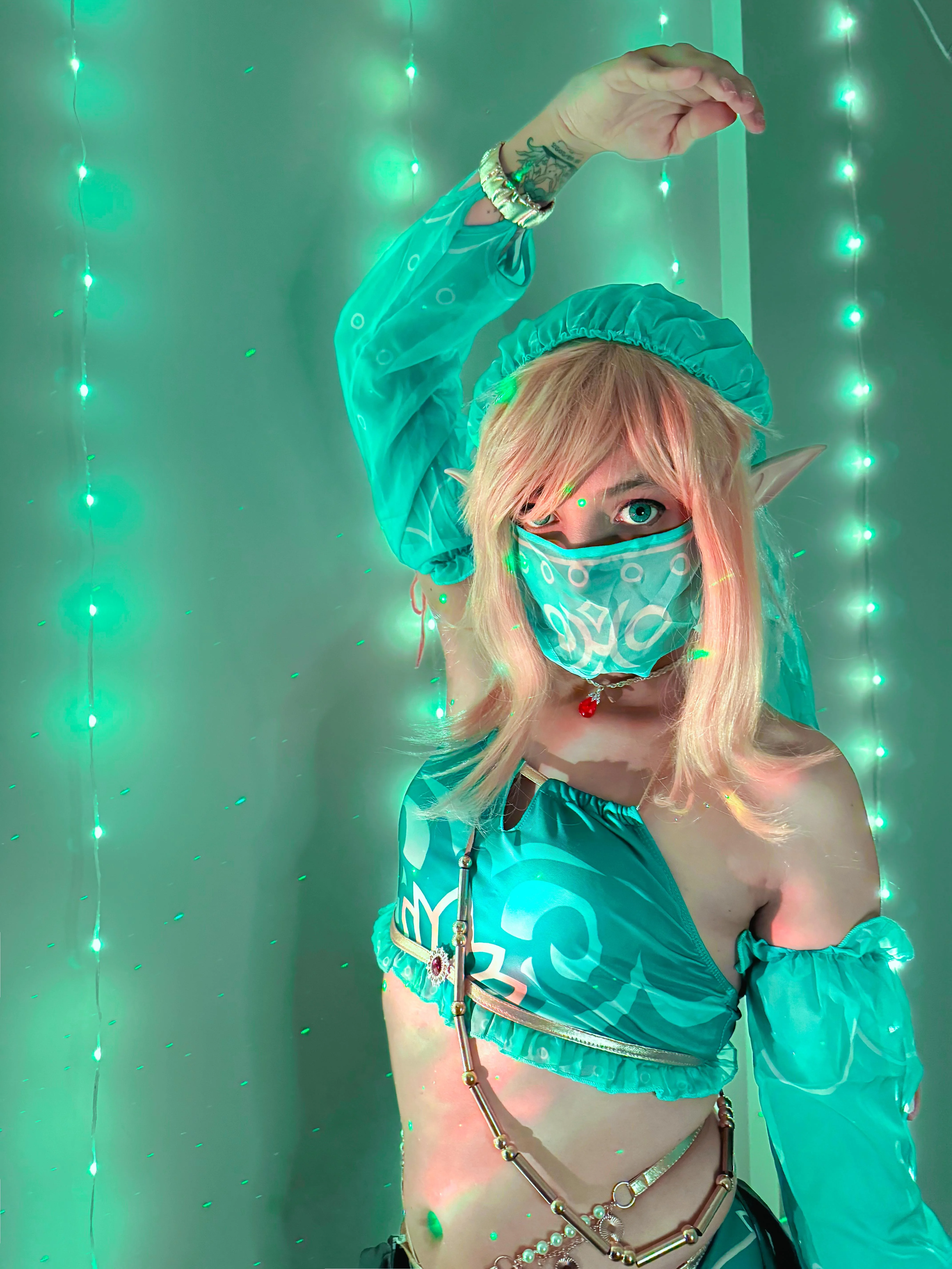Gerudo Link - The Legend of Zelda Breath of the Wild (Lukka) picture 1 of 1