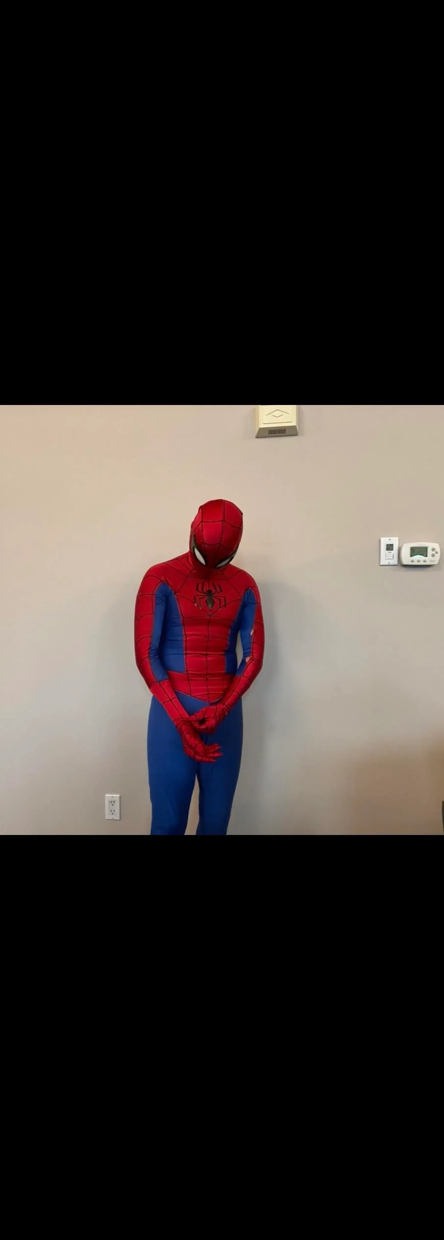 Spectacular Spider-up man cosplay picture 1 of 5