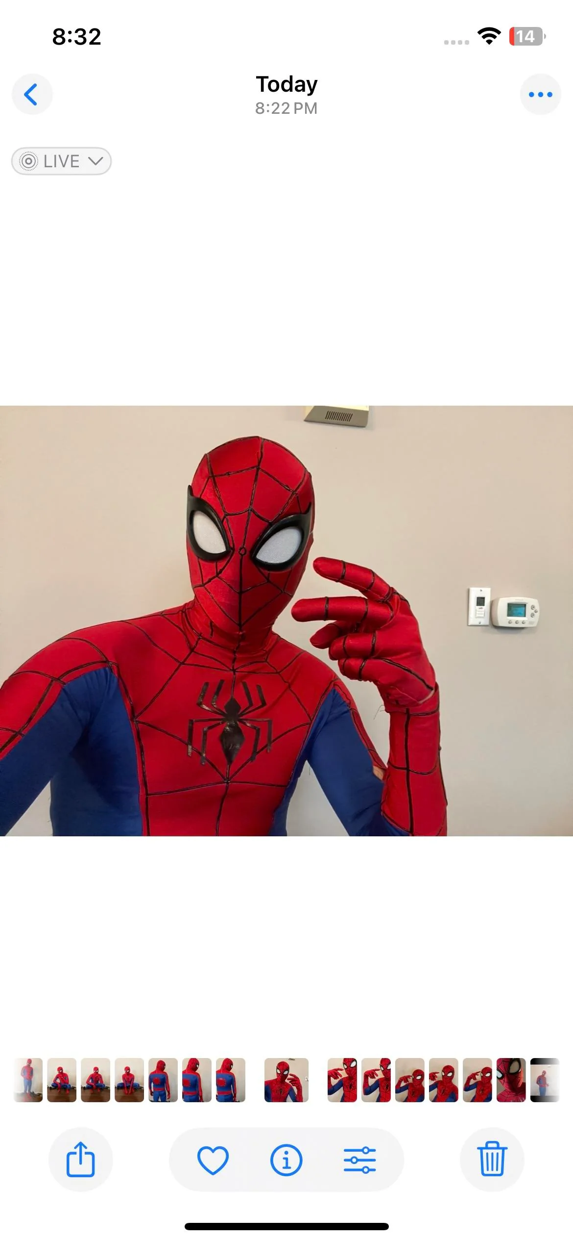 Spectacular Spider-up man cosplay picture 3 of 5