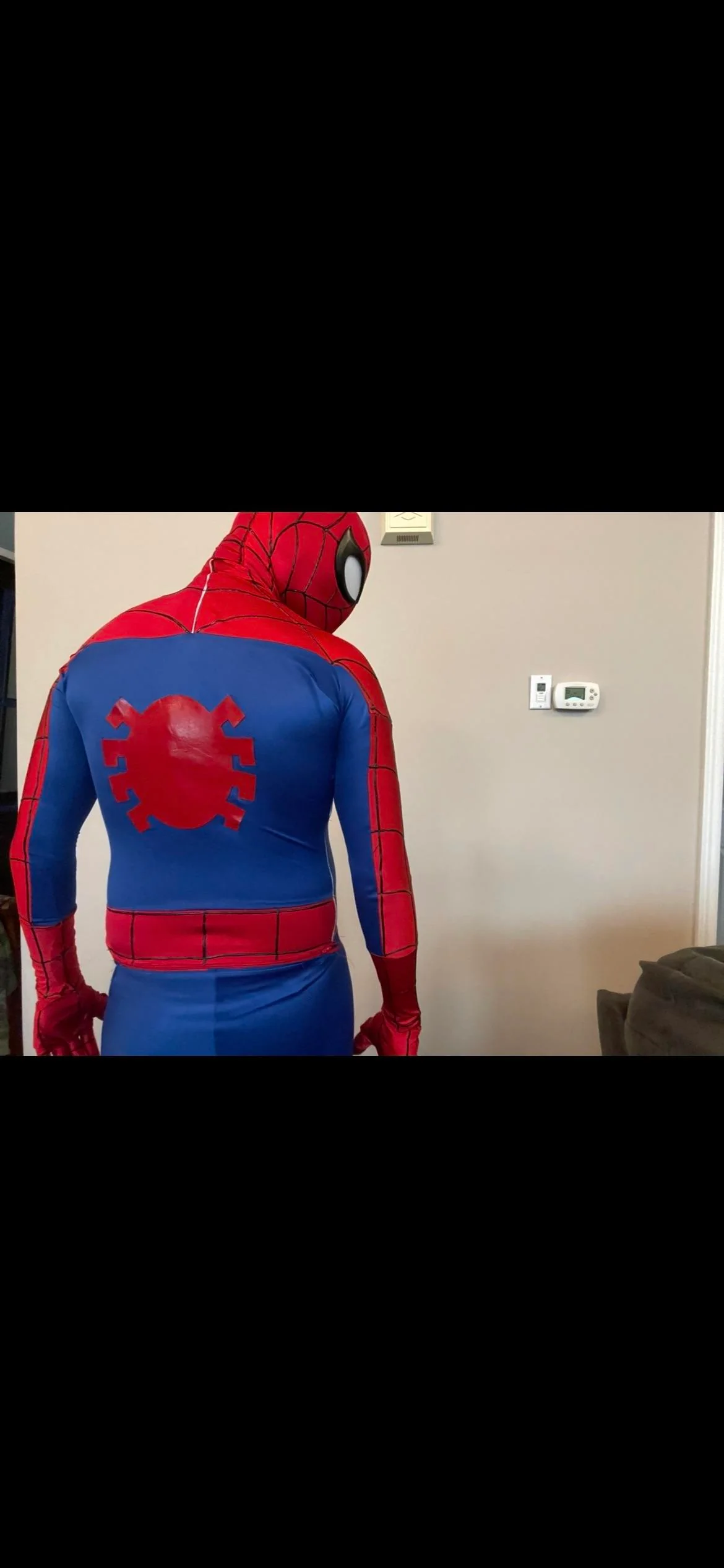 Spectacular Spider-up man cosplay picture 4 of 5