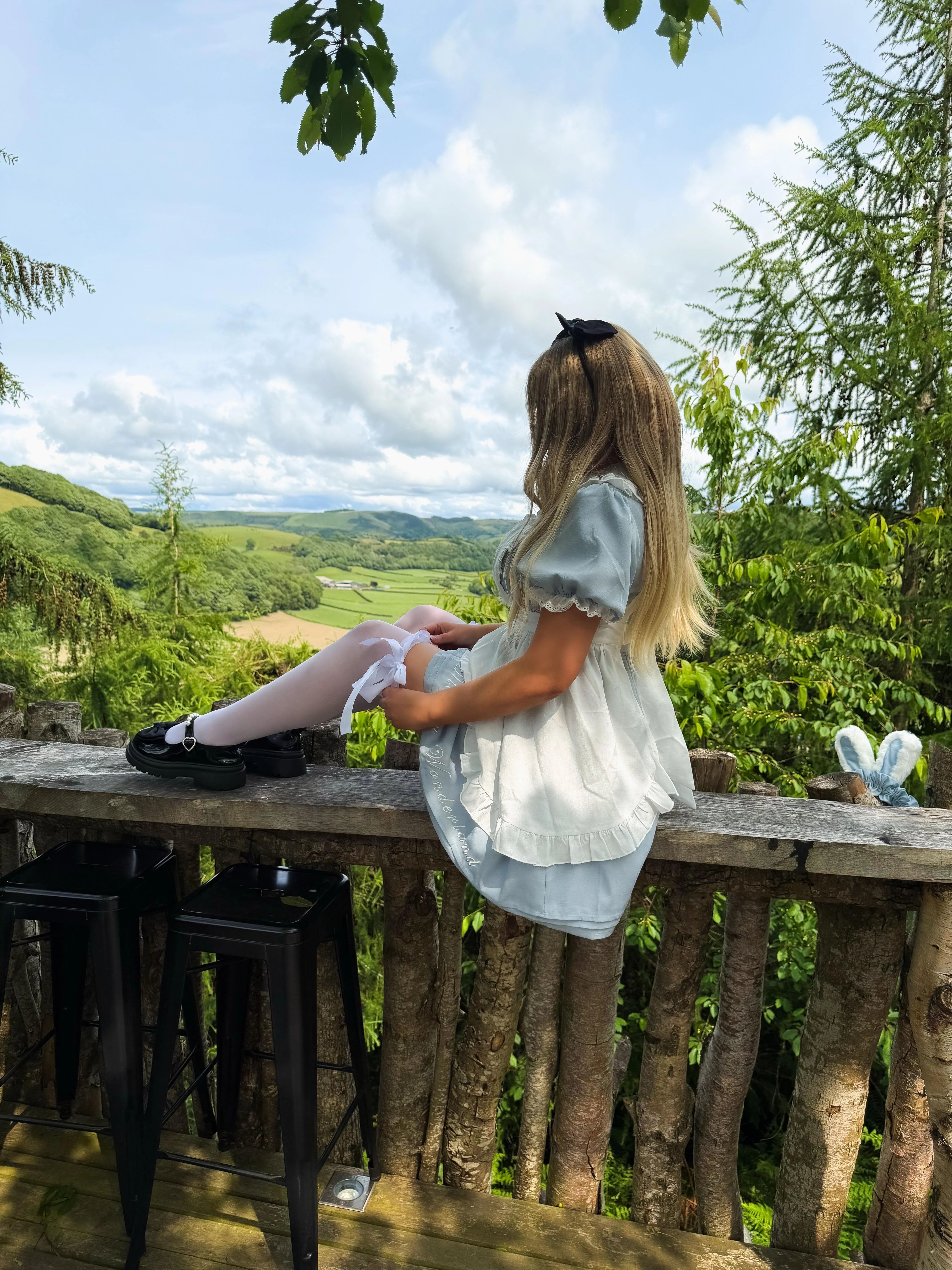Alice in Wonderland by Tally Rose picture 1 of 2