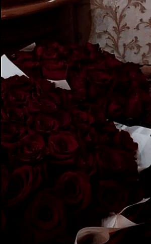 Hello I want to hear your guys opinions on roses aren’t they just beautiful also about roses do you know there’s a line I know about how people are like roses. Do you wanna hear it?'