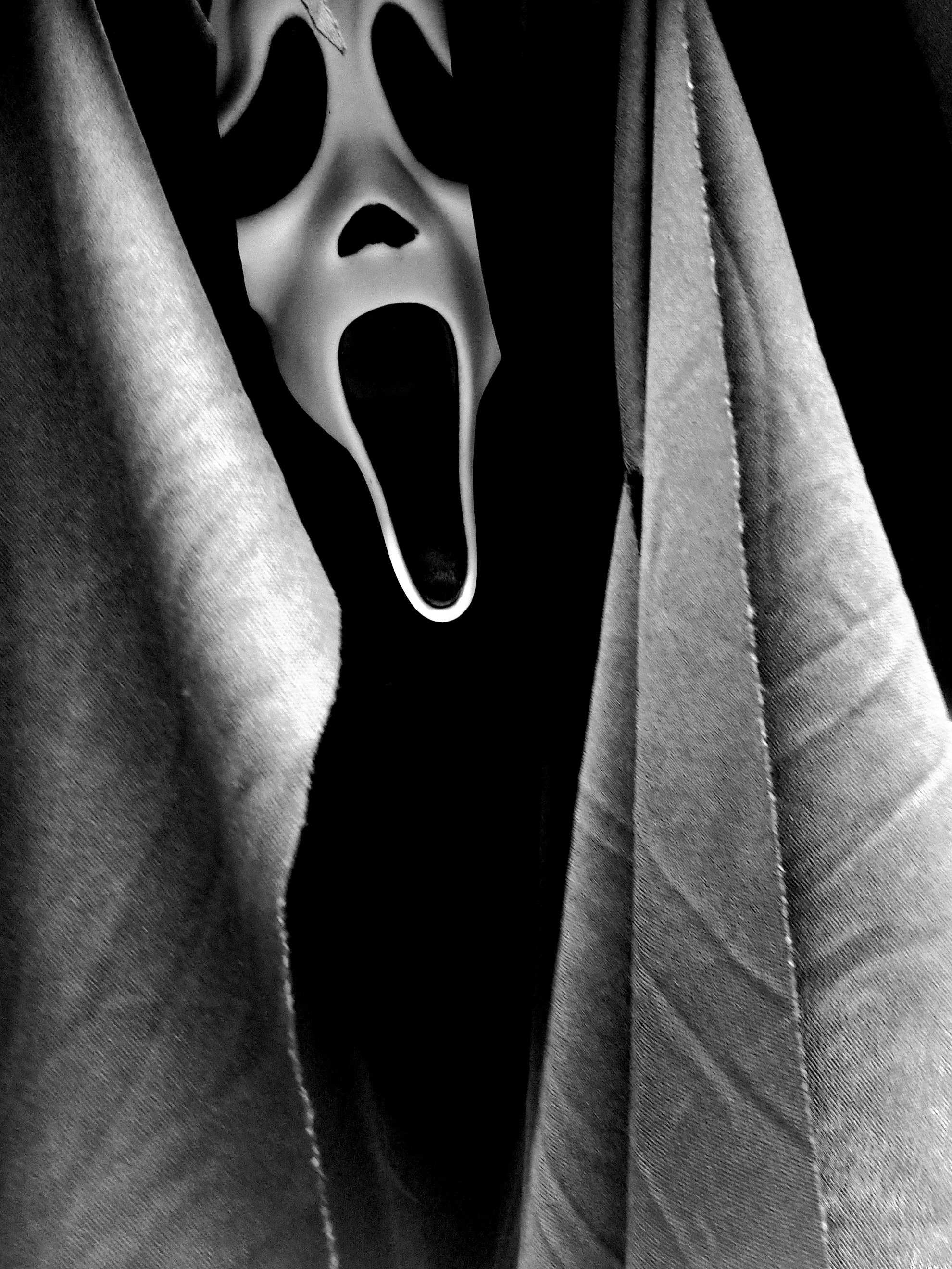 The Ghostface Strikes! picture 6 of 7