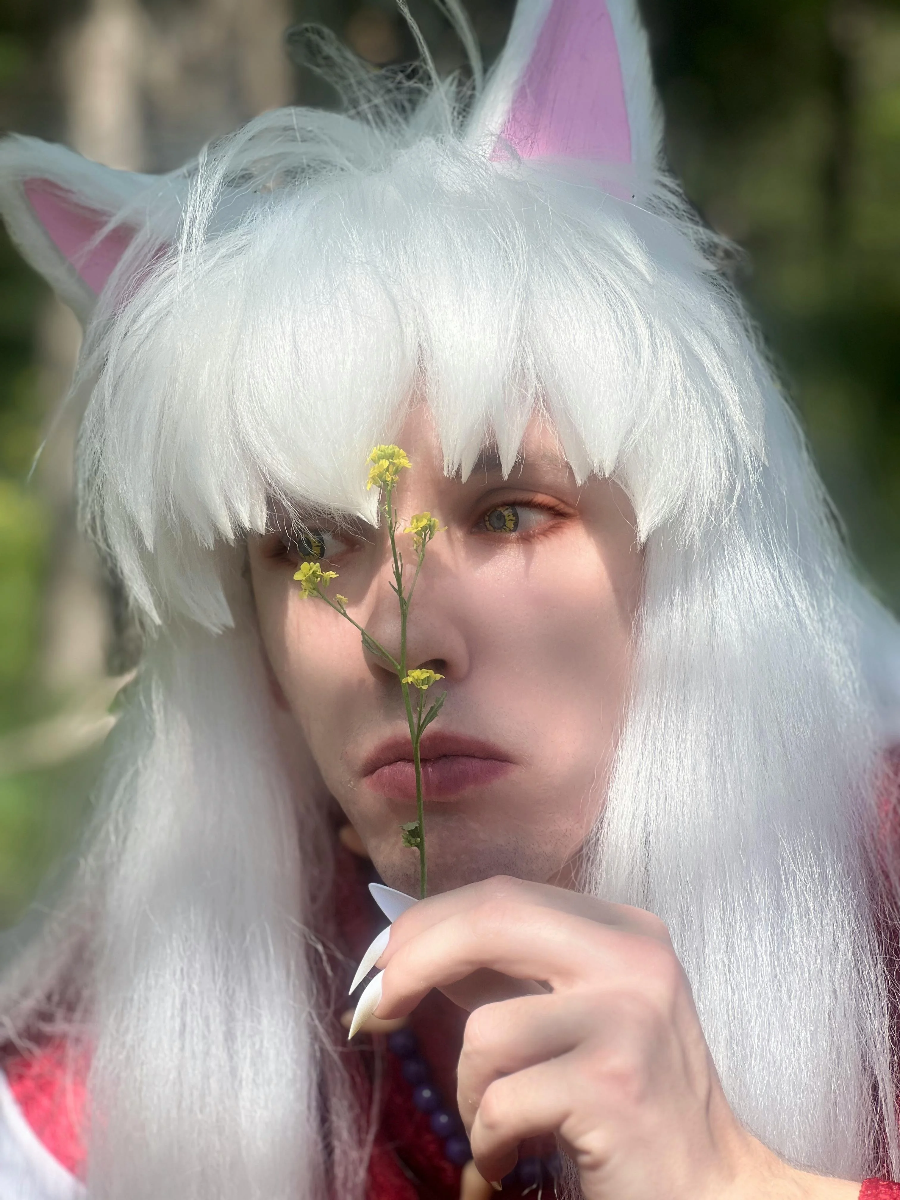 Forsaken_half_demon-inuyasha picture 3 of 5