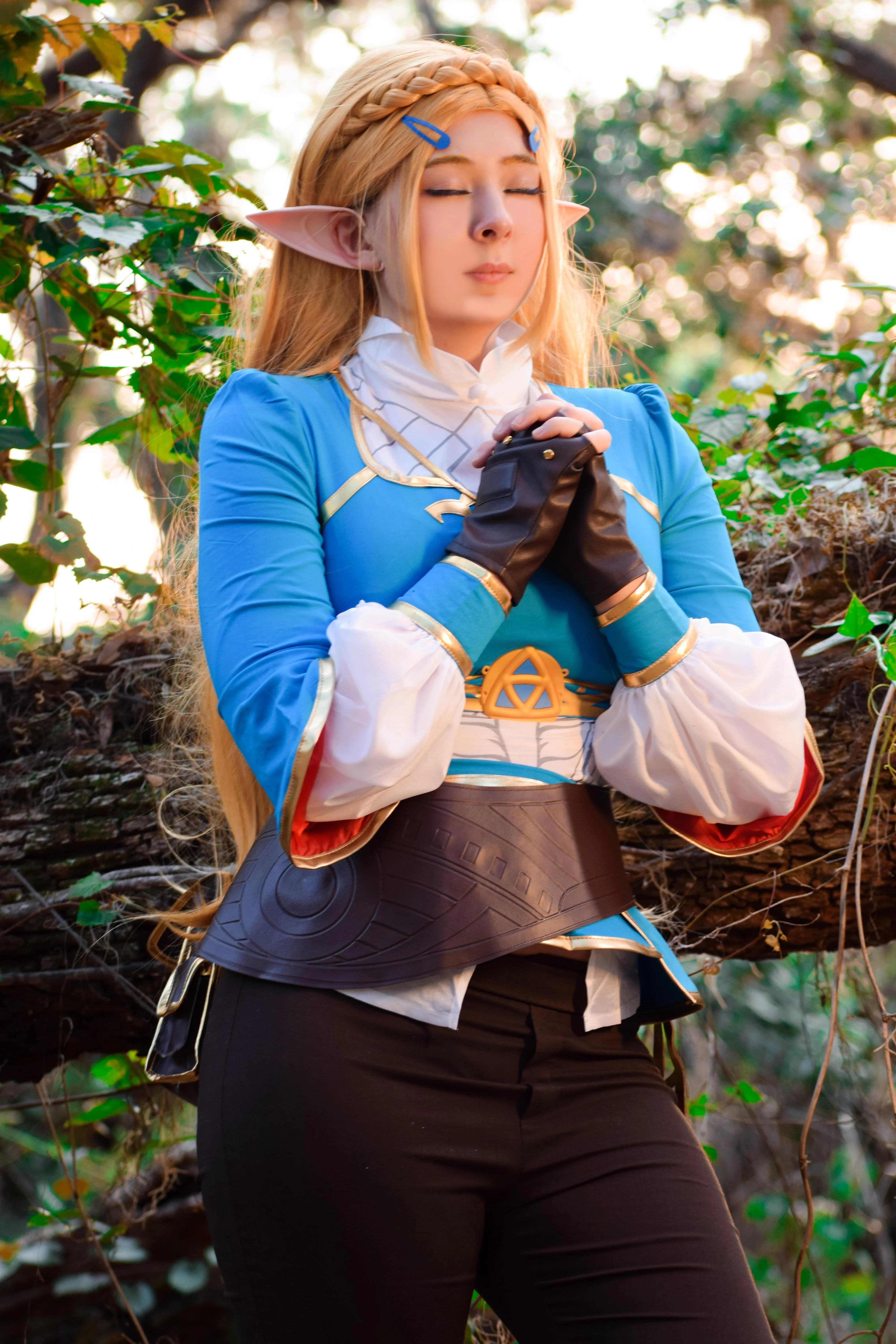 Legend of Zelda: Breath of the Wild (Ribaibu) picture 1 of 1