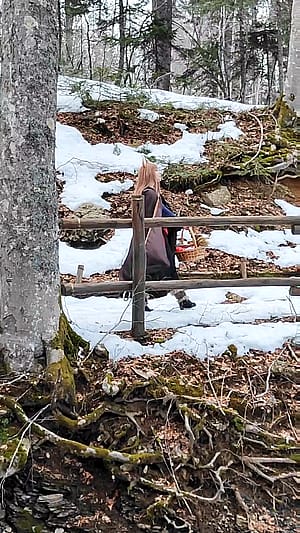 Holo (@nyalpha.cos) from [Spice and Wolf]'