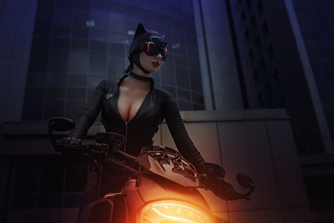 Catwoman from DC by AGflower picture 1 of 10
