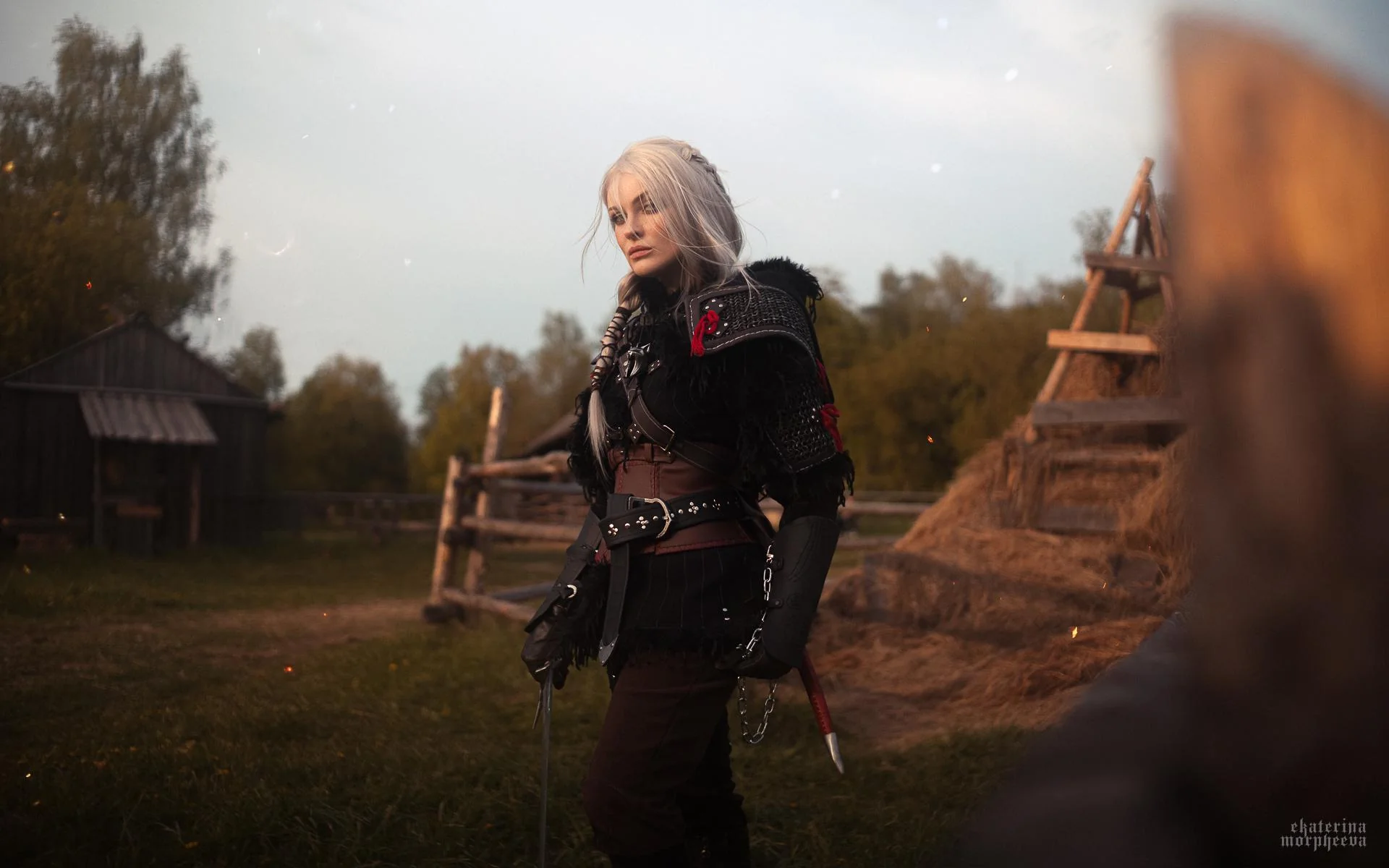 Cirilla from The Witcher 4 by Katssby picture 1 of 1