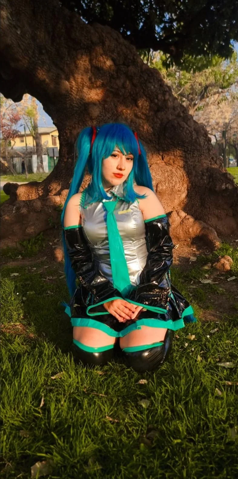 Miku by Baby_haruu picture 2 of 6
