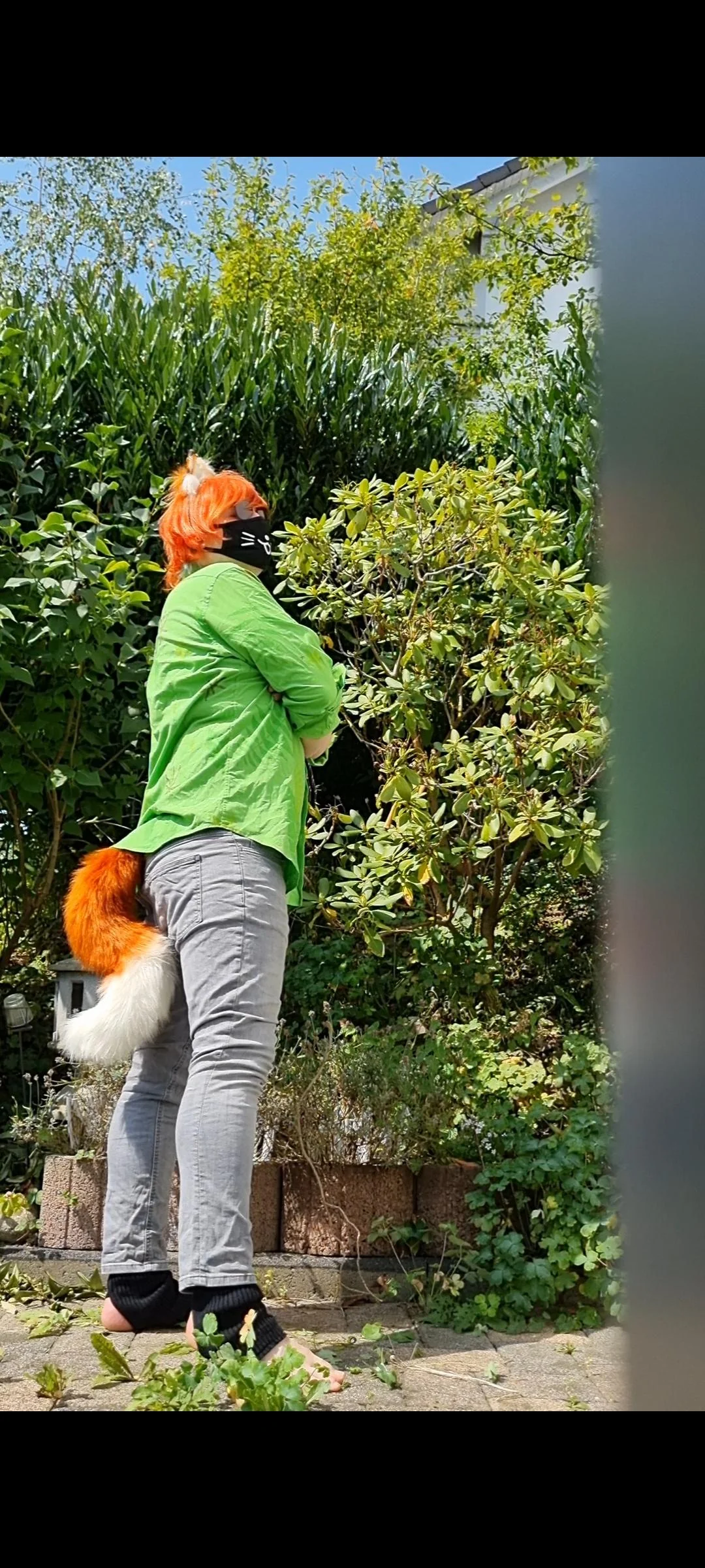 Nick wilde for Zootopia by Littlefempuppy picture 2 of 4