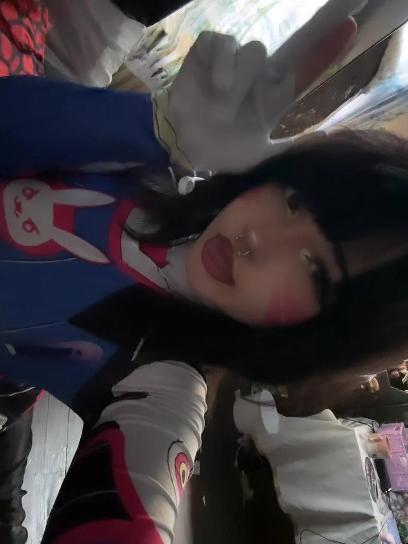 D.V.A - overwatch 2 picture 1 of 3
