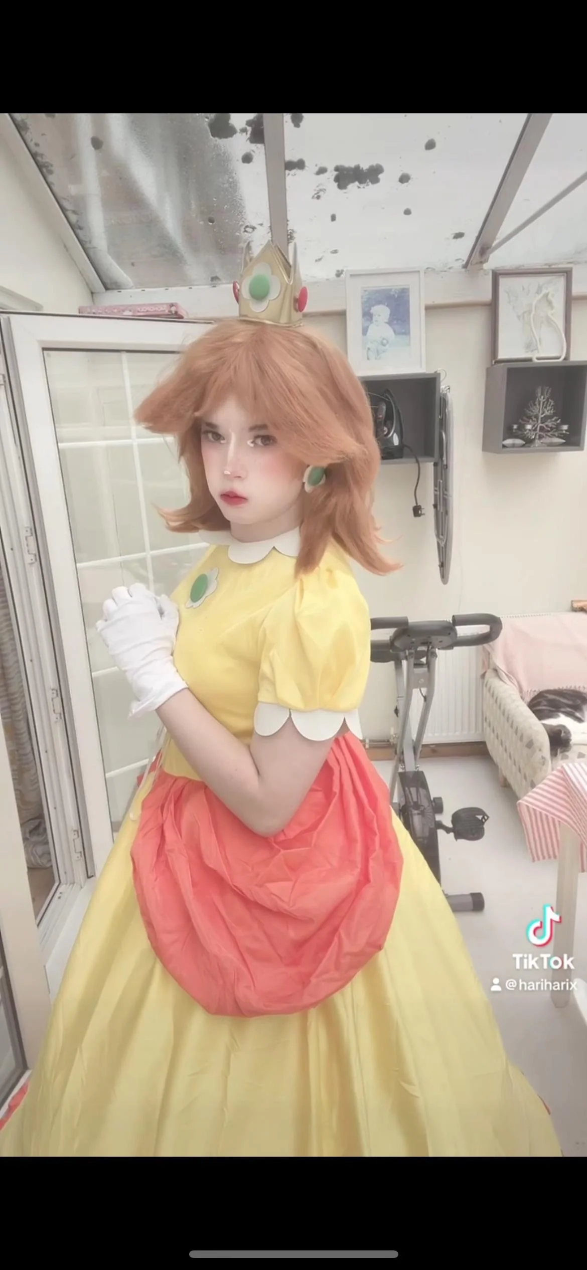 Princess Daisy, by HariHarix picture 4 of 4