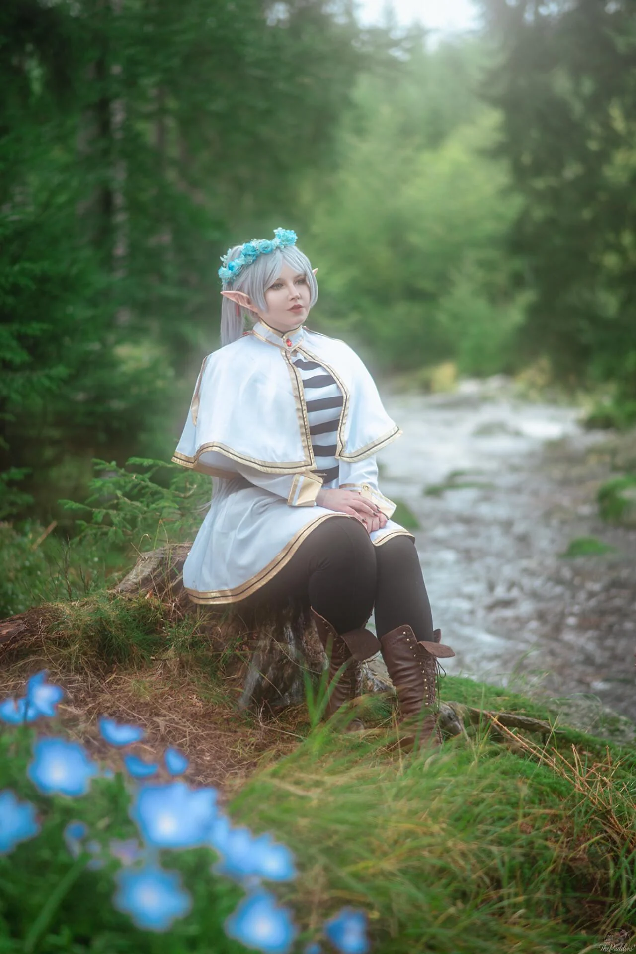 Frieren by nessy.fox picture 1 of 1