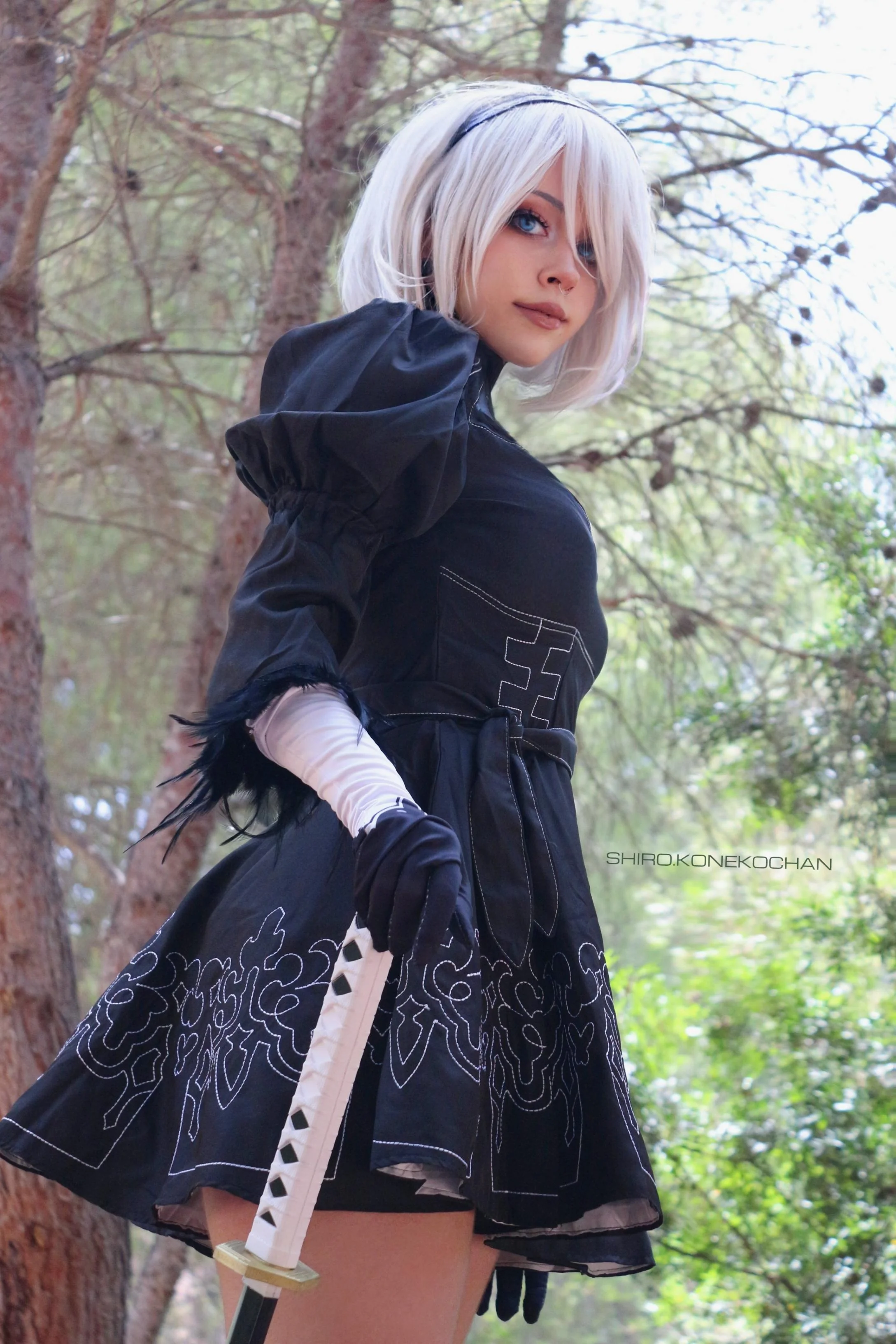 2B by shiro_konekochan picture 1 of 1