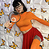 Fox_Kohai