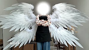 Angel's Wings'