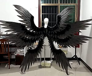 Angel's Wings'