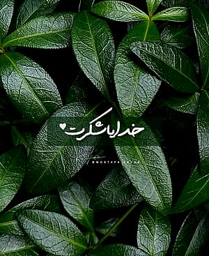 خدا شکرت'