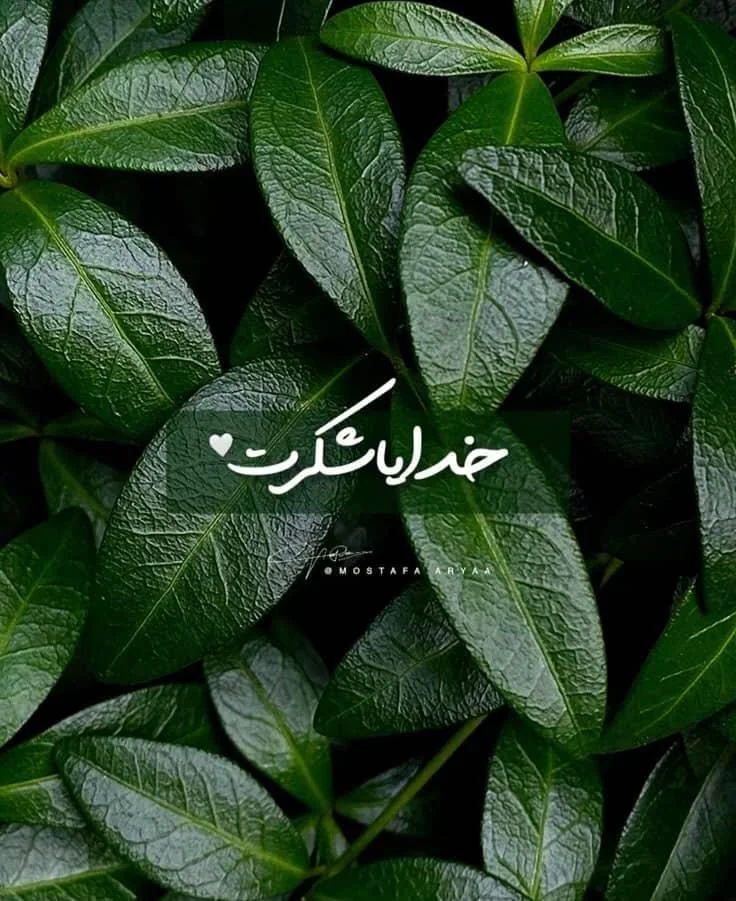 خدا شکرت picture 1 of 1