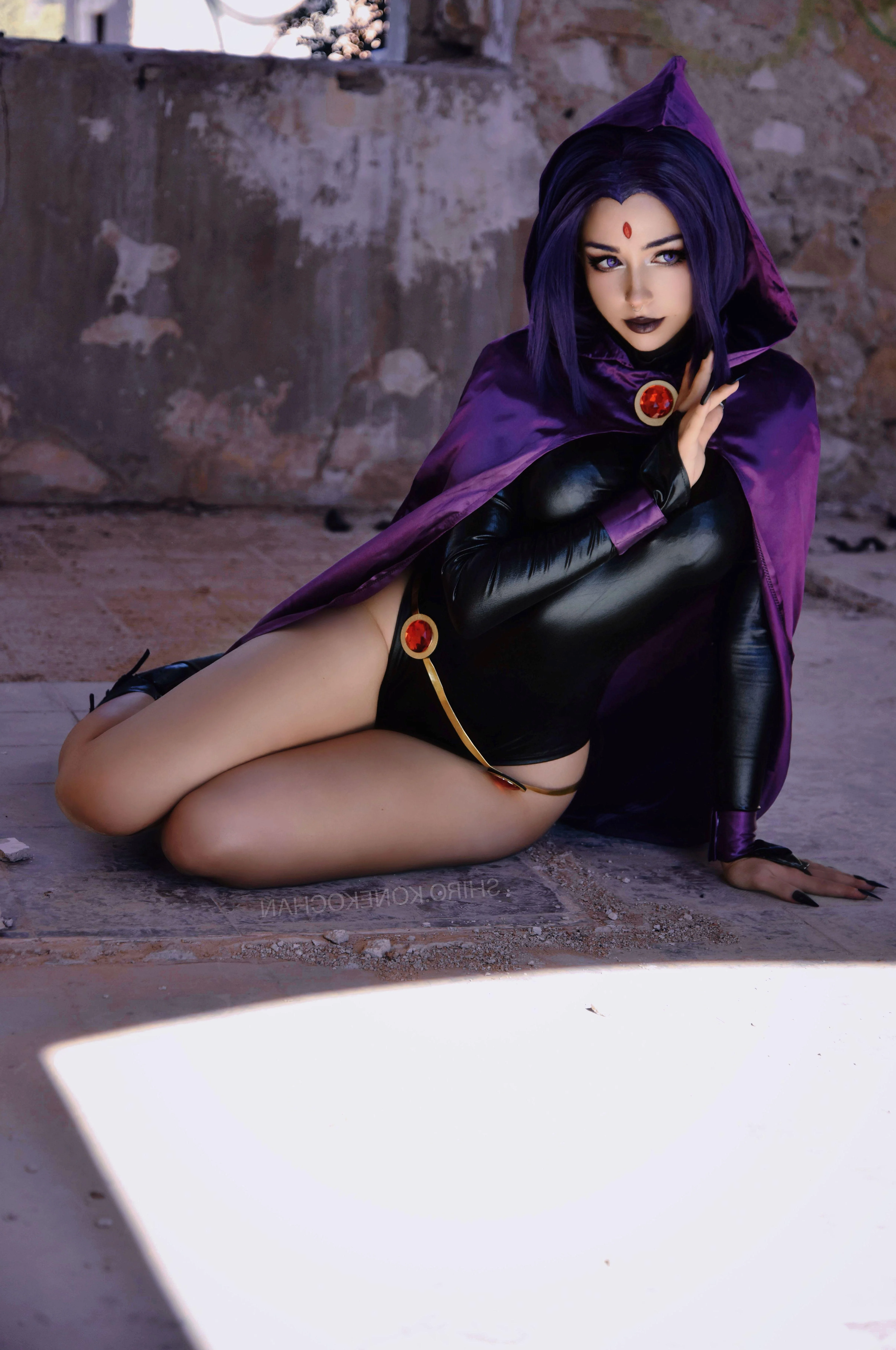Raven by (Shiro_konekochan) picture 1 of 1