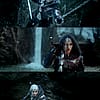 faustnemertes