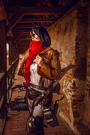 Mikasa by sue'