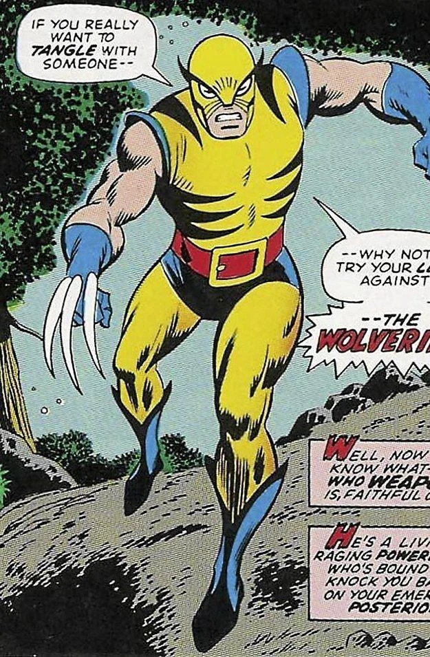 Wolverine is who I’d cosplay… my name is Andreus. picture 1 of 1