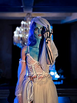 Corpse Bride by Kate Evans'