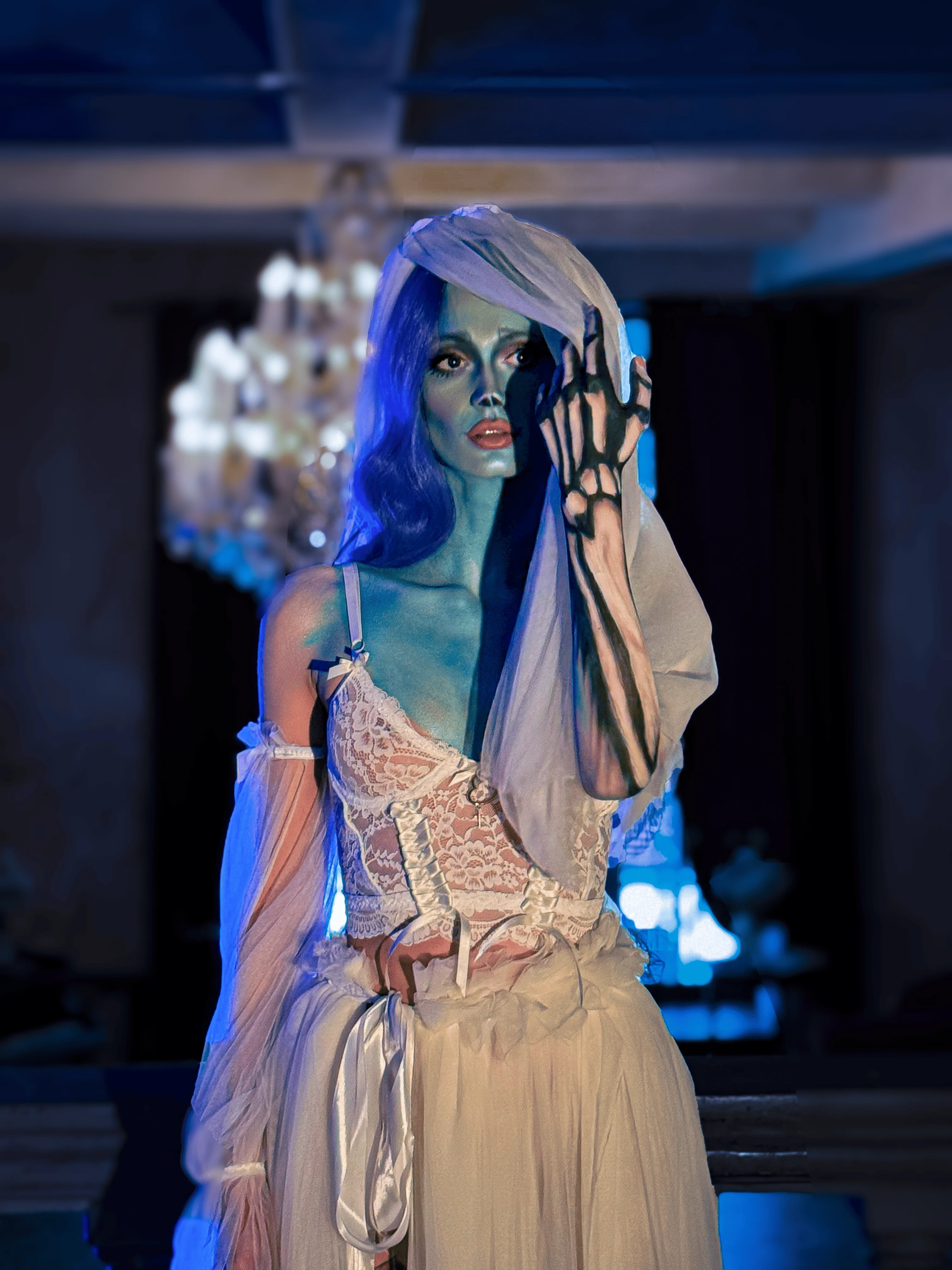 Corpse Bride by Kate Evans picture 1 of 1
