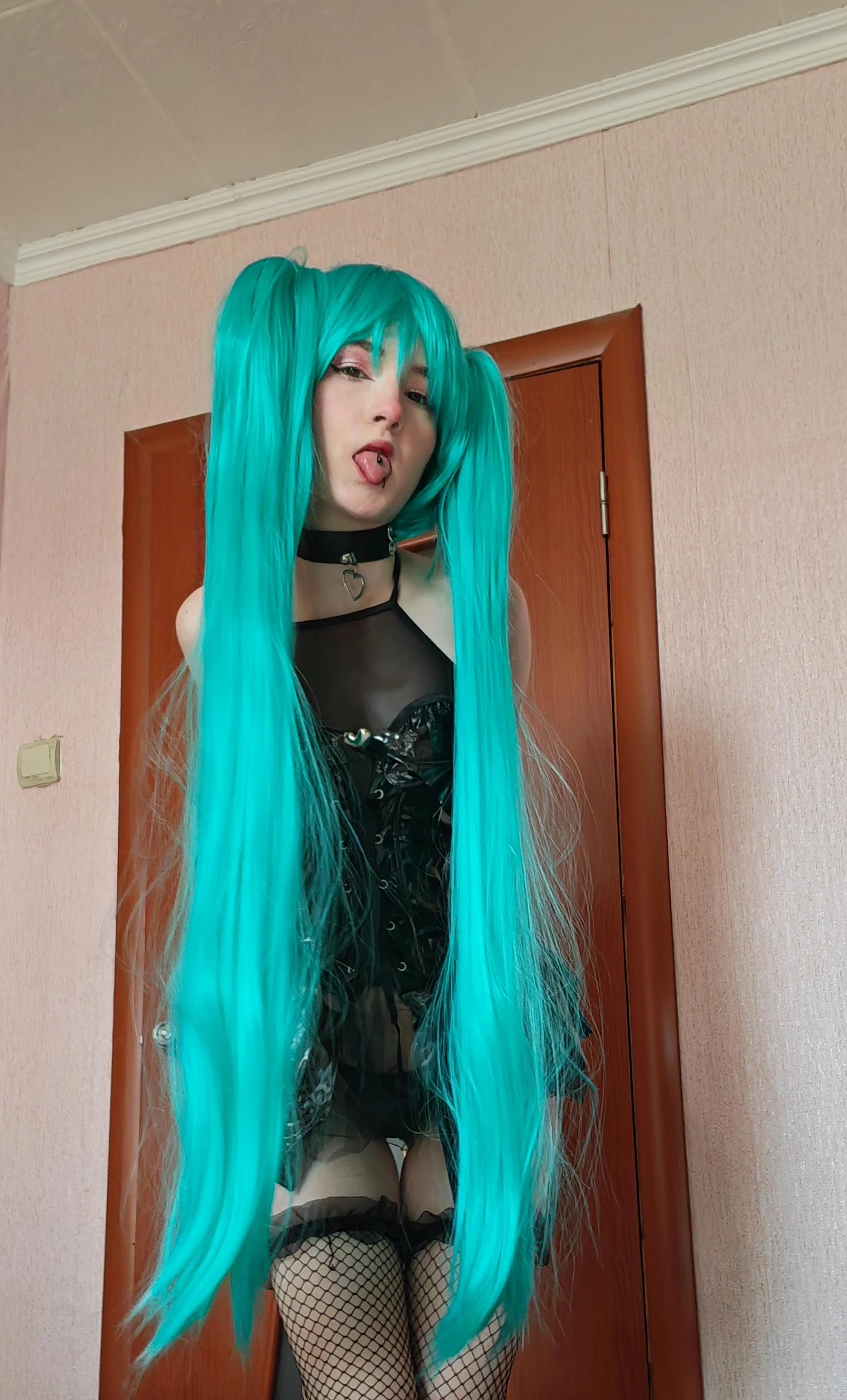 Hatsune miku by Dina picture 1 of 1