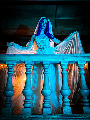 Corpse Bride by Kate Evans'