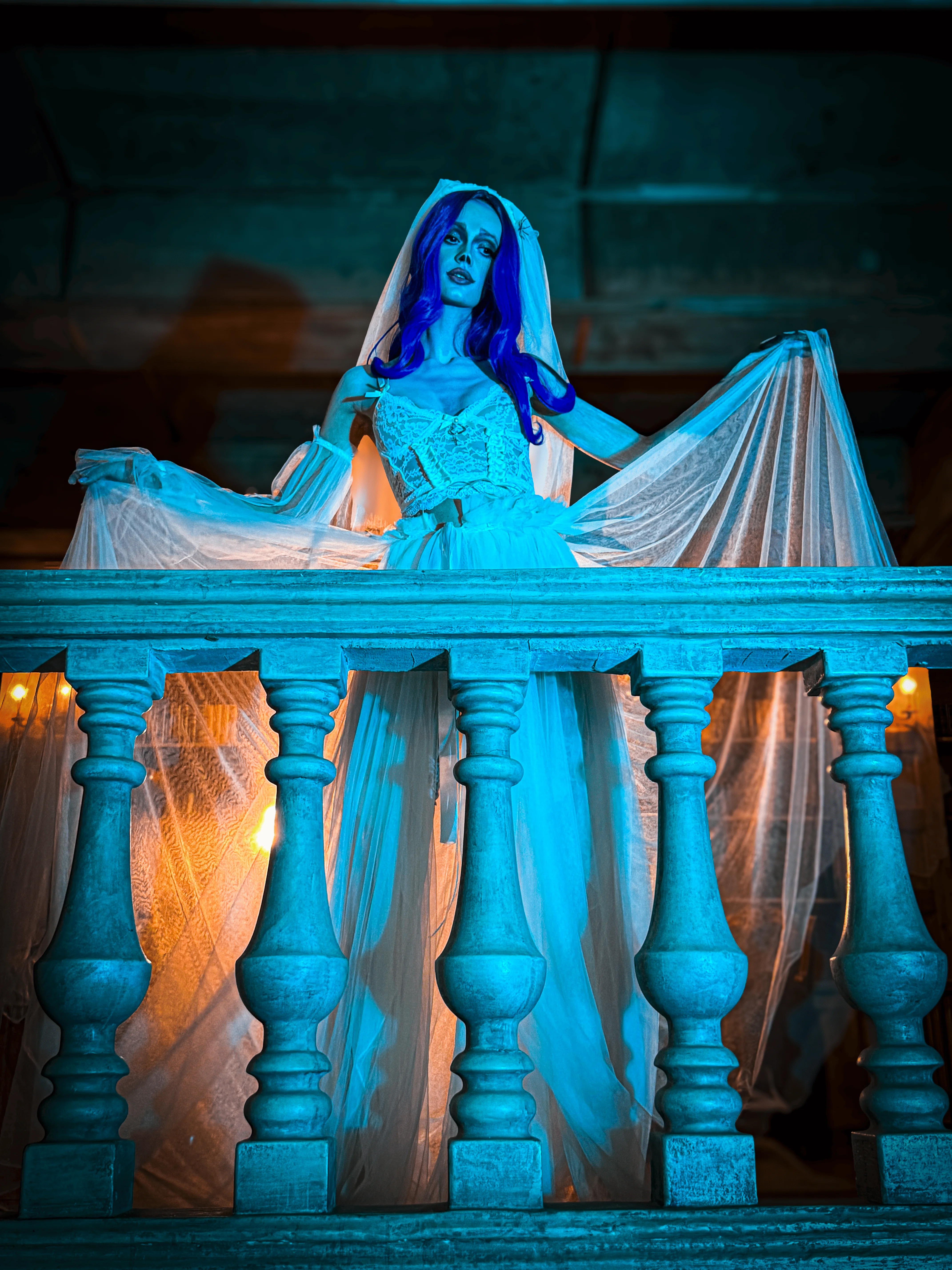 Corpse Bride by Kate Evans picture 1 of 1