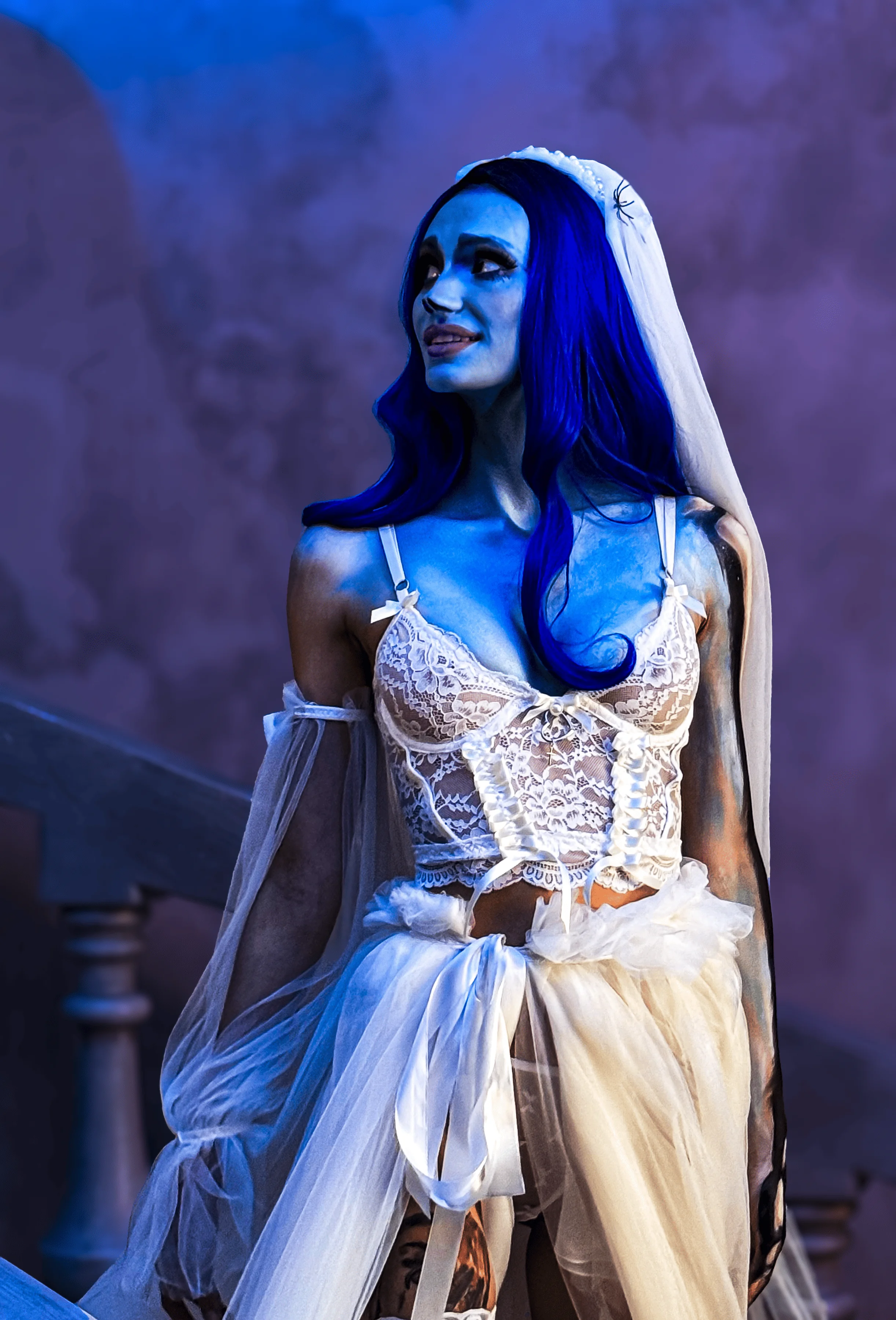 Corpse Bride by Kate Evans picture 1 of 1