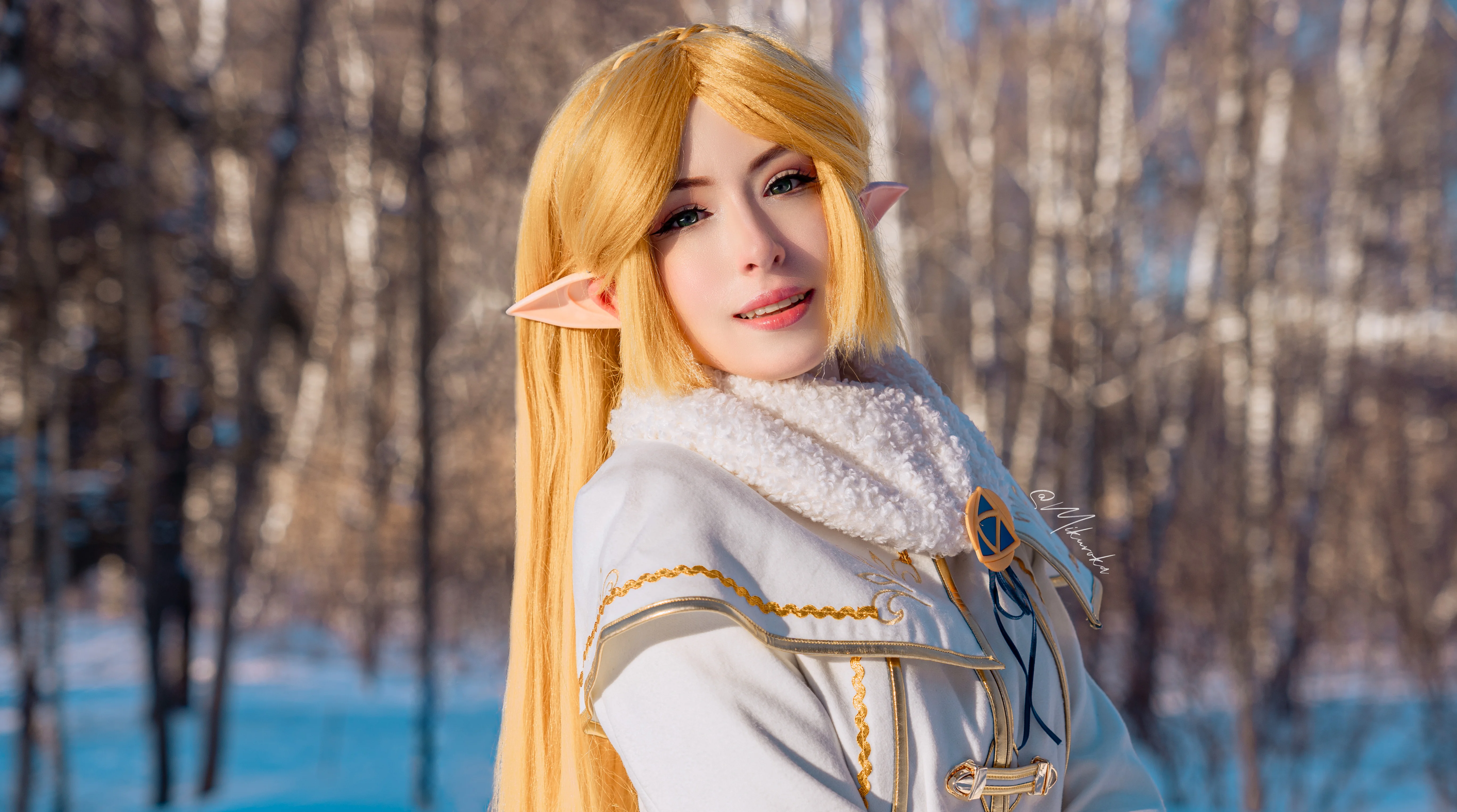 The Legend of Zelda cosplay by Mikuroka picture 1 of 2
